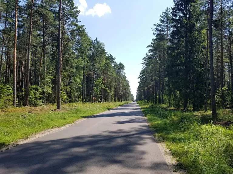 Wielbark atrakcje: odkryj ukryte skarby i niezapomniane miejsca