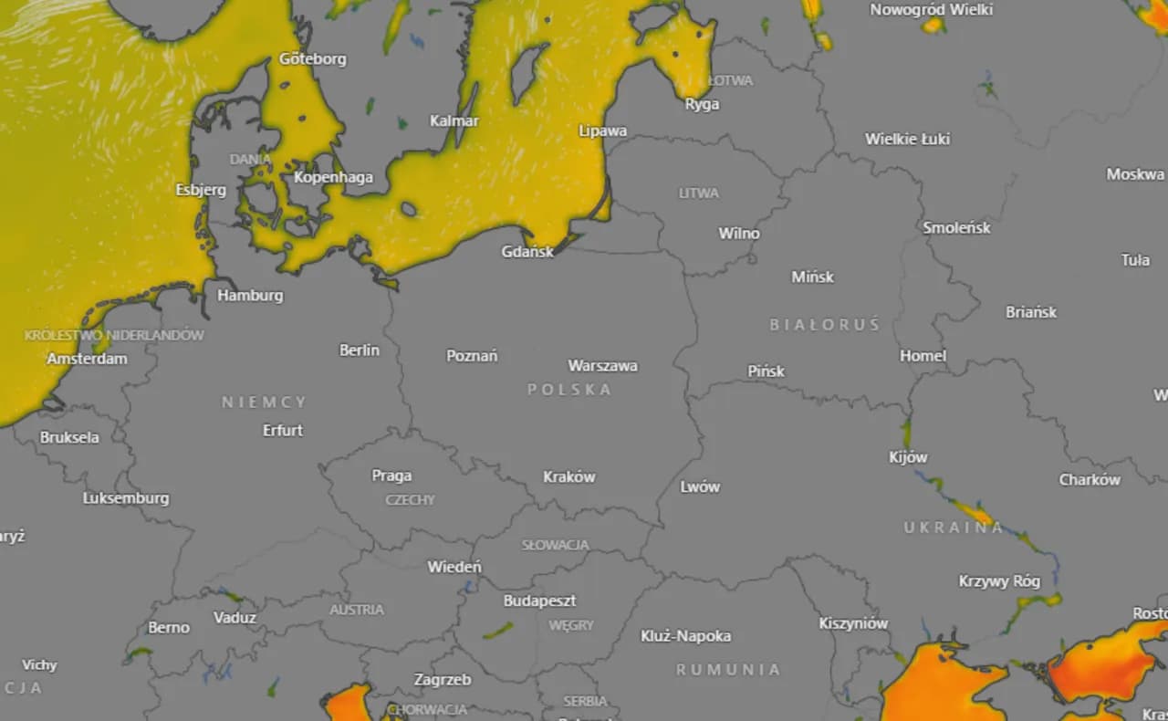 Ile stopni ma woda w Bałtyku? Sprawdź, zanim wejdziesz do morza