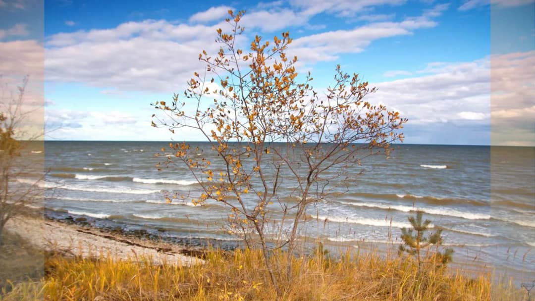 Kiedy jest najwięcej jodu nad Bałtykiem? Odkryj zdrowotne korzyści