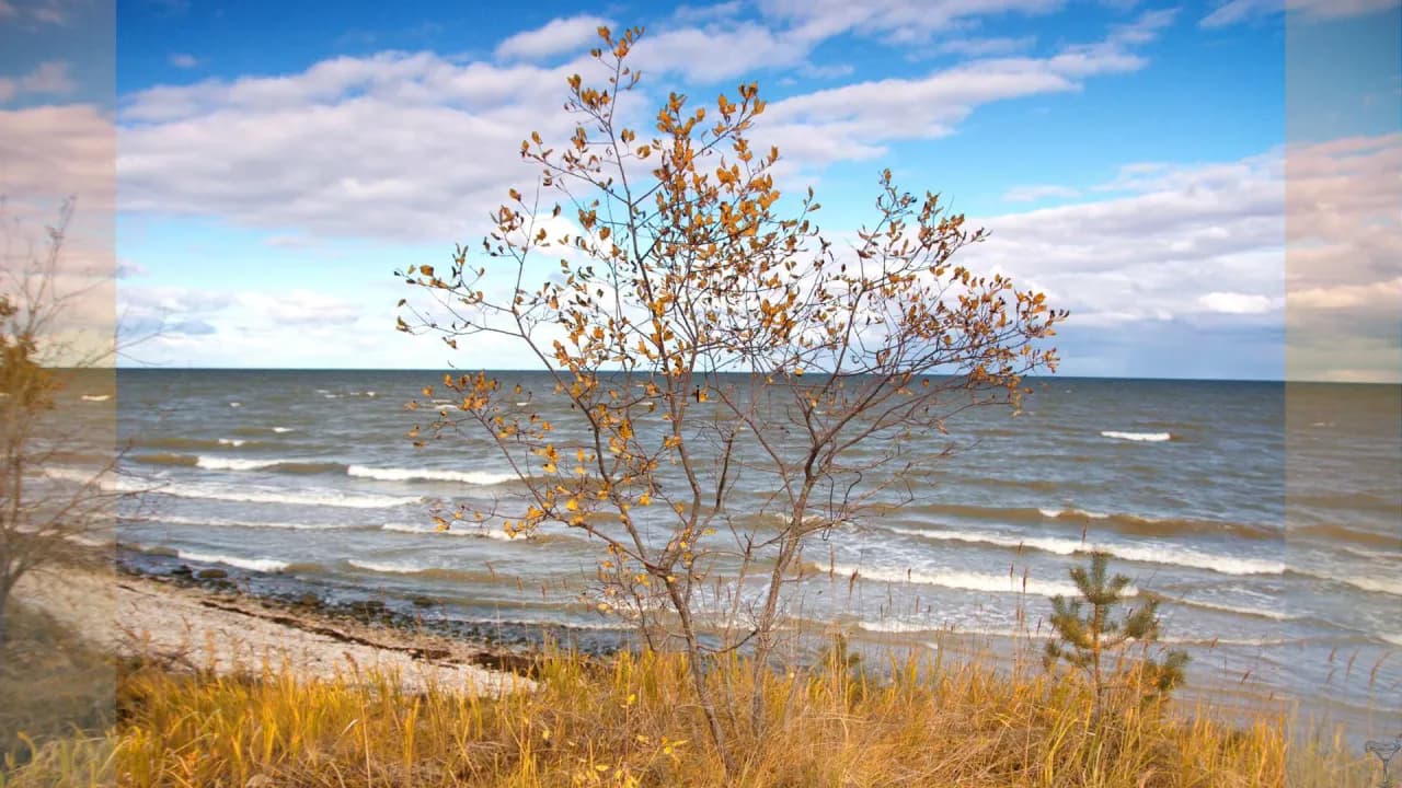Kiedy jest najwięcej jodu nad Bałtykiem? Odkryj zdrowotne korzyści