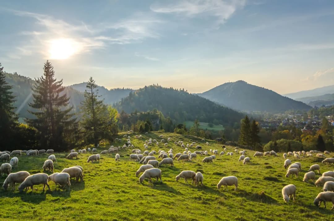 Pieniny gdzie nocleg - najlepsze opcje na komfortowy wypoczynek