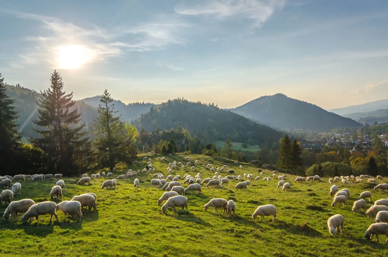 Pieniny gdzie nocleg - najlepsze opcje na komfortowy wypoczynek