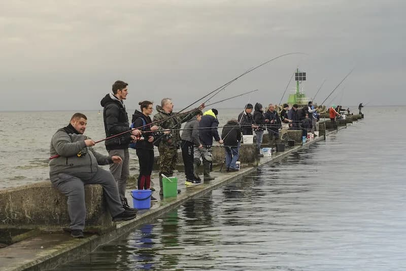 Kiedy łowić śledzie w Bałtyku: najlepszy czas i miejsca na połów
