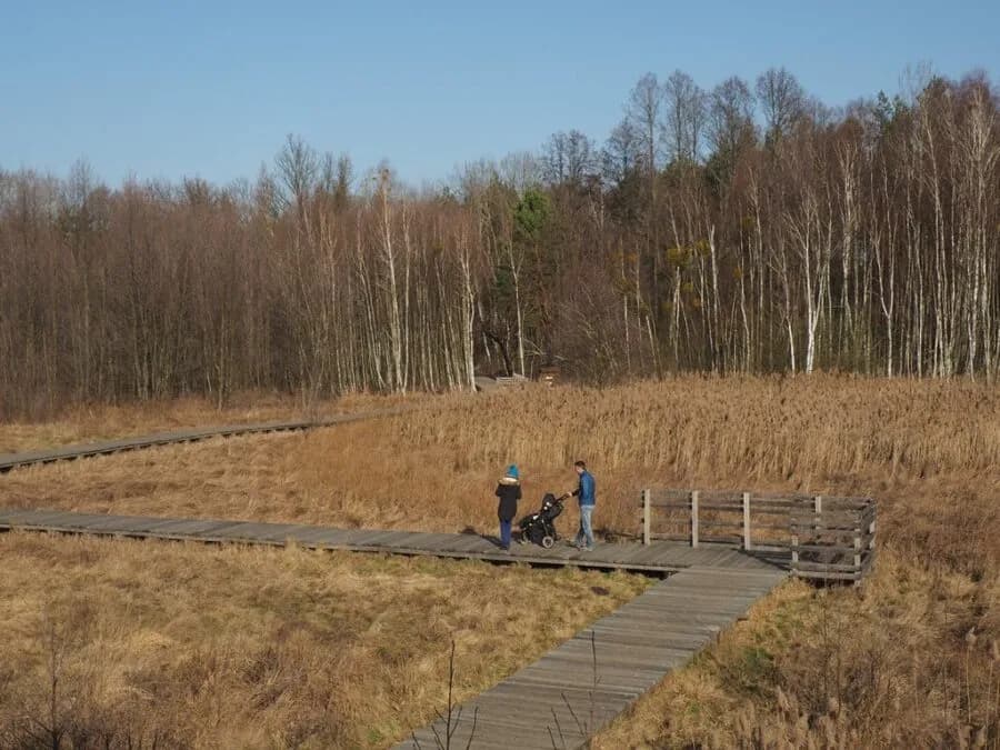 Granica Kampinos atrakcje: odkryj unikalne miejsca i przyrodę