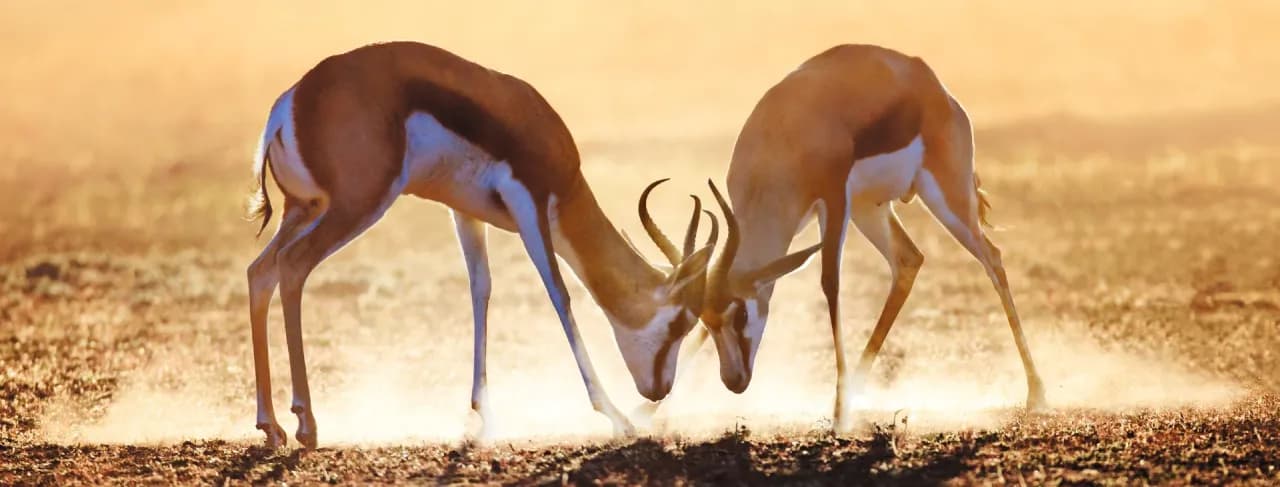 RPA kiedy jechać: najlepsze terminy na niezapomnianą podróż