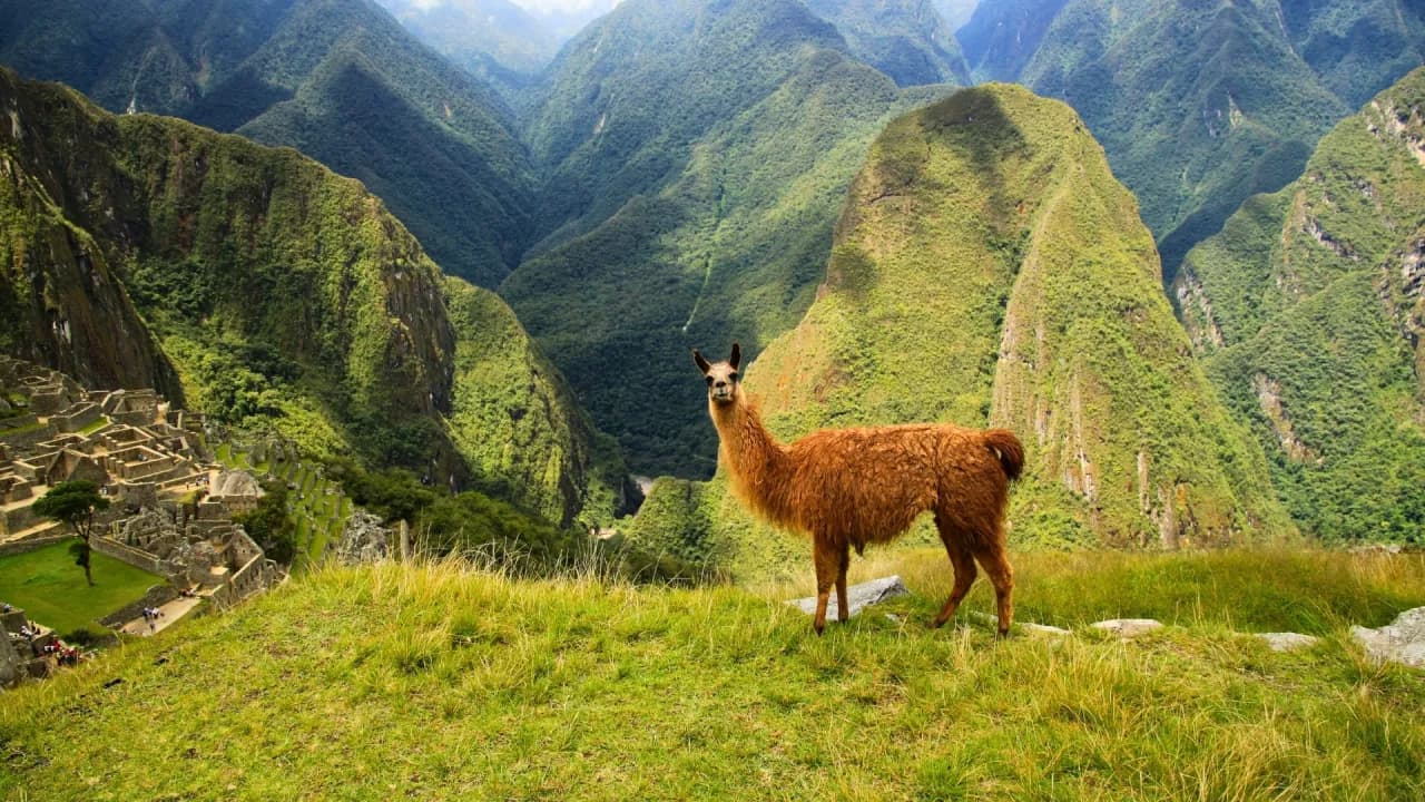 Kiedy jechać do Peru? Najlepszy czas na niezapomnianą podróż