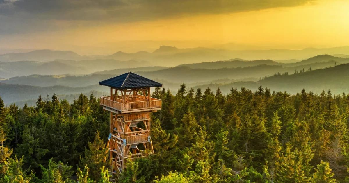 Bardejów atrakcje, które zaskoczą każdego turystę i warto zobaczyć